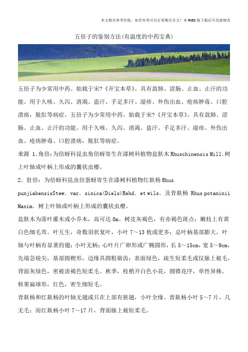 五倍子的鉴别方法(有温度的中药宝典)