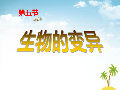 《生物的变异》 (2) 精选优质课件