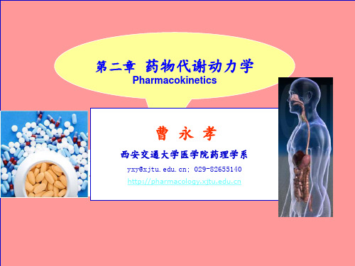 第二章--药物代谢动力学PPT课件