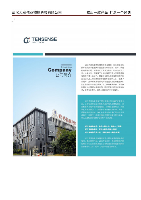 钢质护栏立柱埋深冲击弹性波检测仪