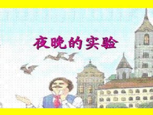 苏教版小学六年级语文下册《12夜晚的实验》观摩课示范课公开课优质课赛教课精品课件PPT