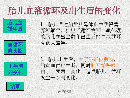 胎儿血液循环图