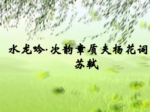 《水龙吟》(似花还似非花)课件