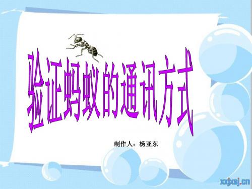 蚂蚁的通讯行为