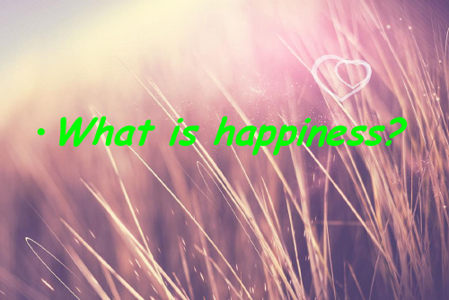 Happiness英语PPT演讲材料