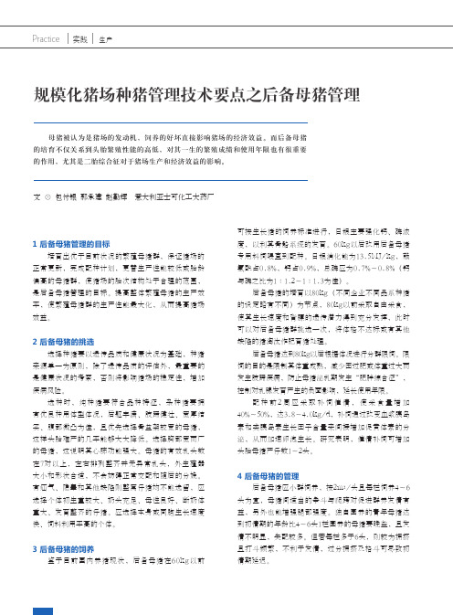 规模化猪场种猪管理技术要点之后备母猪管理