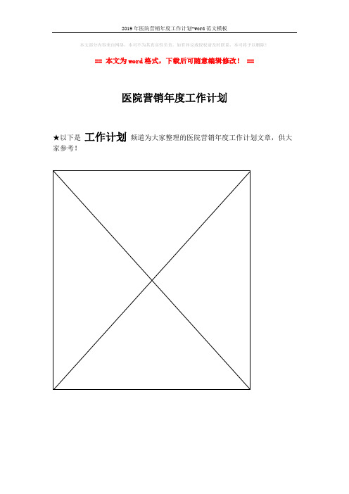 2019年医院营销年度工作计划-word范文模板 (1页)