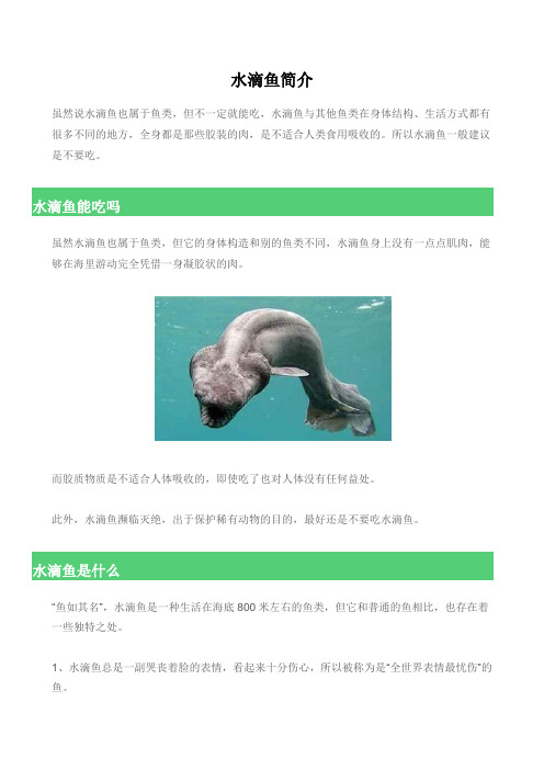 水滴鱼简介