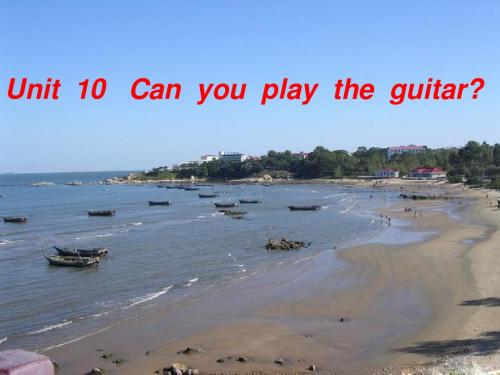 人教新目标版初中英语七年级上册 Can you play the guitar 2 PPT课件