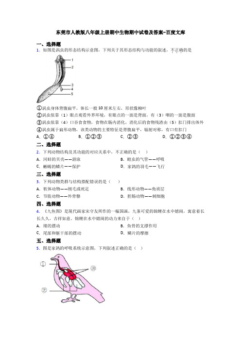 东莞市人教版八年级上册期中生物期中试卷及答案-百度文库