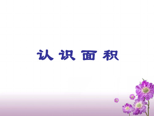 (赛课课件)三年级下册数学《认识面积》