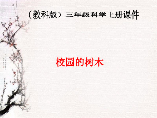 教科小学科学三上《1.2、校园的树木》PPT课件(7)