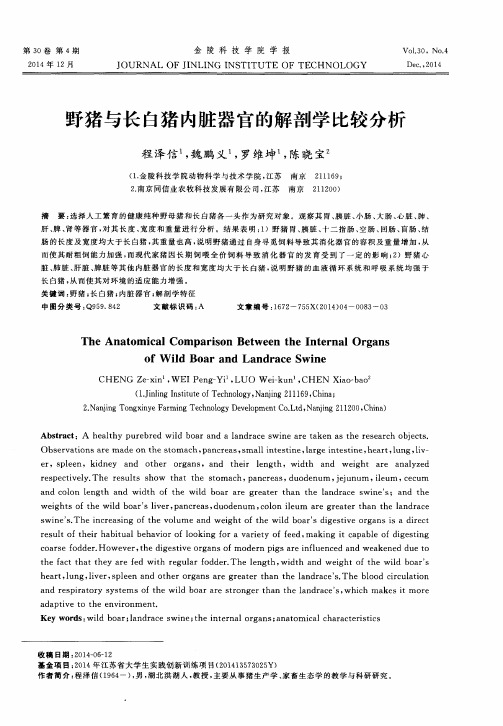 野猪与长白猪内脏器官的解剖学比较分析