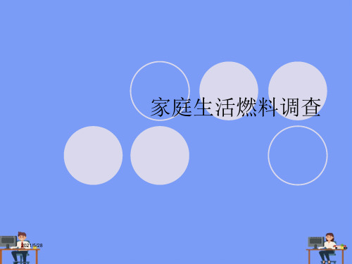 家庭生活燃料调查.精选ppt