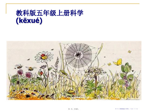 《做一个生态瓶》生物与环境PPT课件4