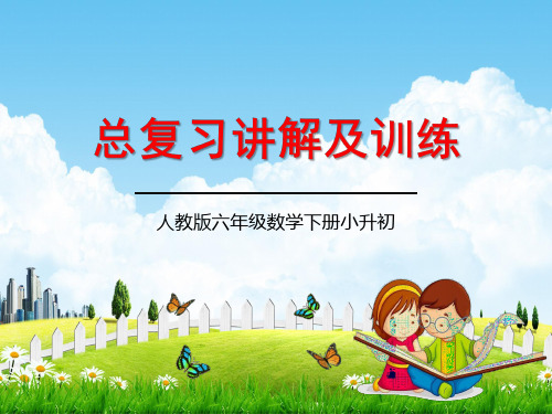 六年级下册小升初《总复习讲解及训练》精品PPT优秀人教版