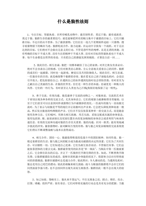 什么是狼性法则