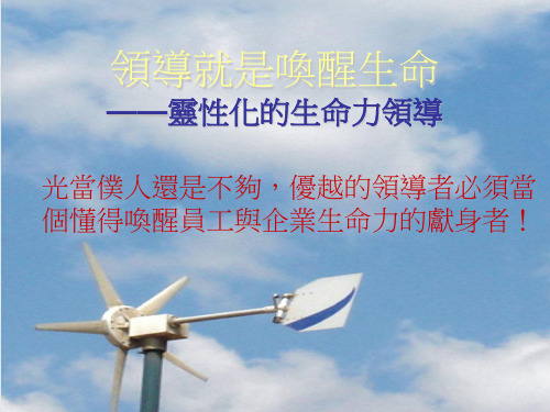 古伦神父-灵性化的生命力领导(ppt 30页)