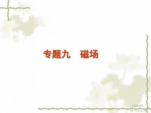 高考物理第二轮专题复习方案课件磁