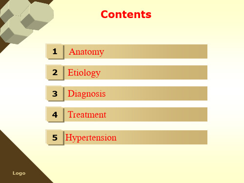 circulatory system循环系统英文