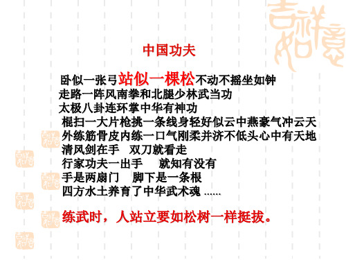 大树和我们的生活