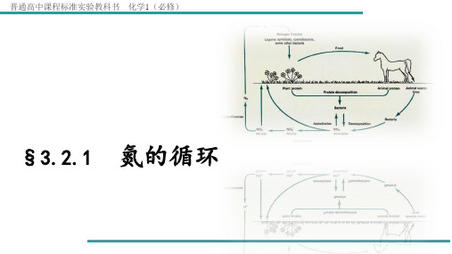 高中化学《氮的循环》PPT精美课件鲁科版1