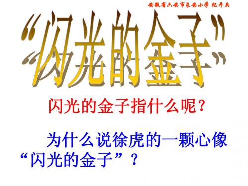 苏教版二年级下册《闪光的金子》教学课件