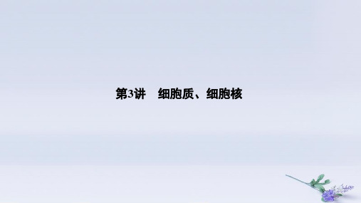 (浙江选考)2020版高考生物一轮复习第3讲细胞质、细胞核课件