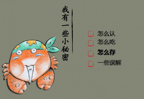 大闸蟹的介绍