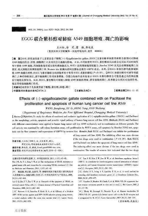 紫杉醇对肺癌A549细胞增殖、凋亡的影响