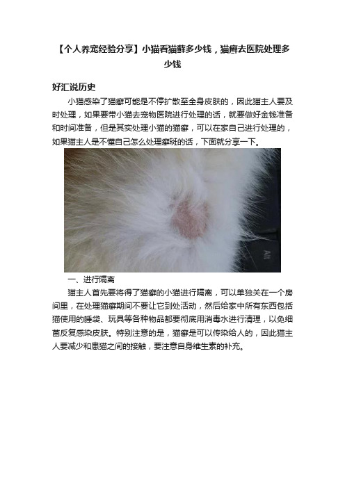 【个人养宠经验分享】小猫看猫藓多少钱，猫癣去医院处理多少钱