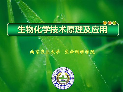 硫酸铵溶液饱和度 27页PPT文档