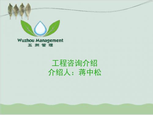 工程咨询介绍PPT课件( 24页)