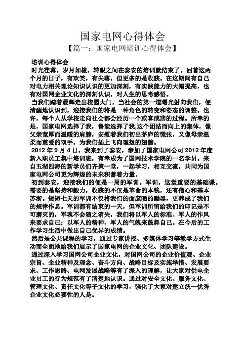 国家电网心得体会