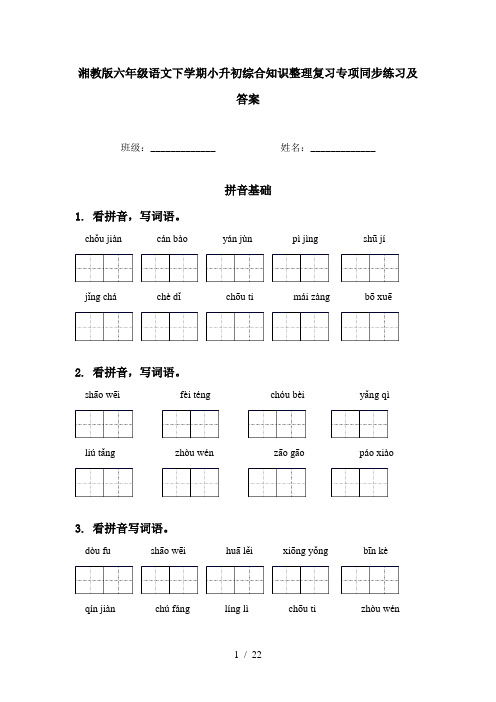 湘教版六年级语文下学期小升初综合知识整理复习专项同步练习及答案