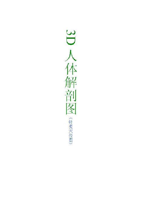 3D人体解剖图(针炙穴位图)