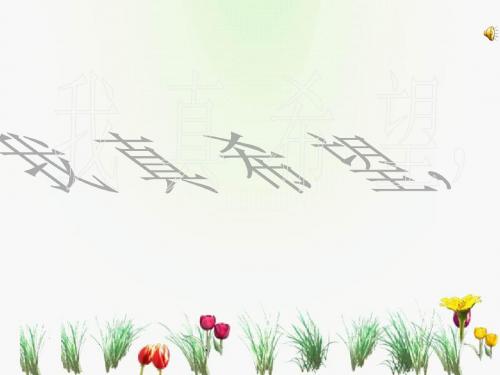 最新S版二年级语文上册  我真希望 优秀课件