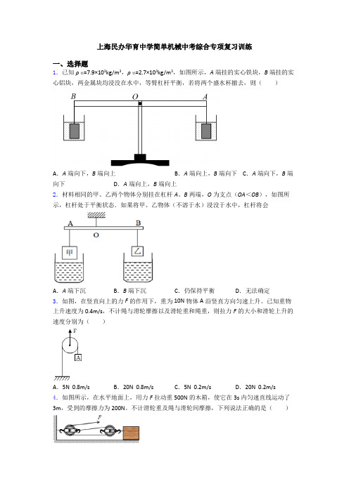 上海民办华育中学简单机械中考综合专项复习训练