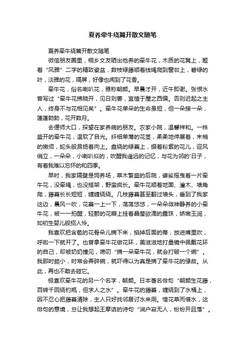 夏养牵牛绕篱开散文随笔