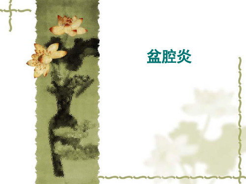 盆腔炎PPT课件