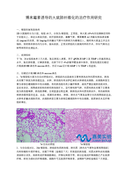 博来霉素诱导的大鼠肺纤维化的治疗作用研究