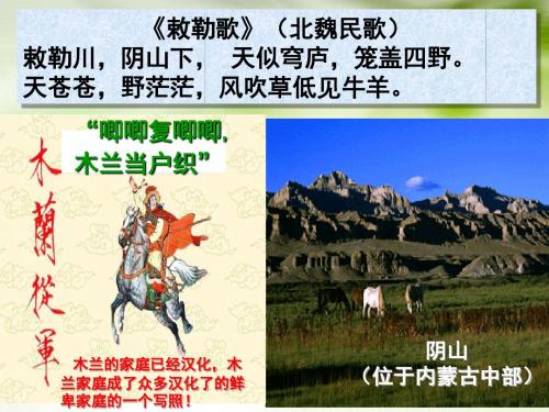 岳麓书社版高中历史选修一2.5《北魏孝文帝改革与民族融合》 课件(50张)(共50张PPT) - 上课用
