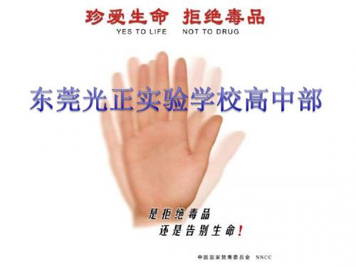 《禁毒宣传主题班会》ppt课件