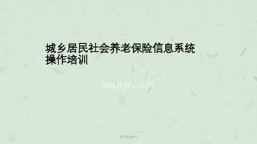 新农保系统培训-改课件