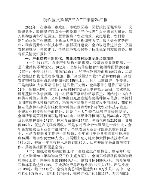 镜铁区文殊镇“三农”工作情况汇报