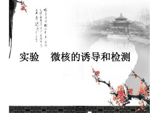 微核的诱导和检测