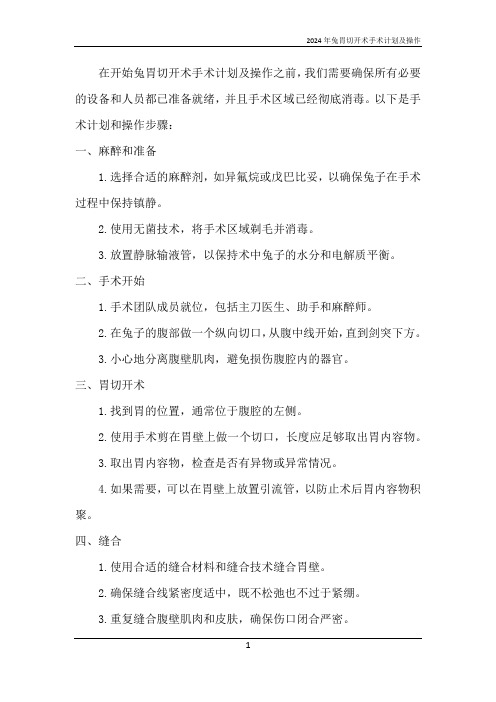 2024年兔胃切开术手术计划及操作
