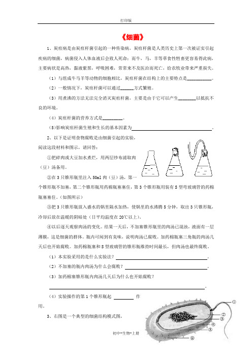 人教版生物-八年级上册-细菌 同步习题