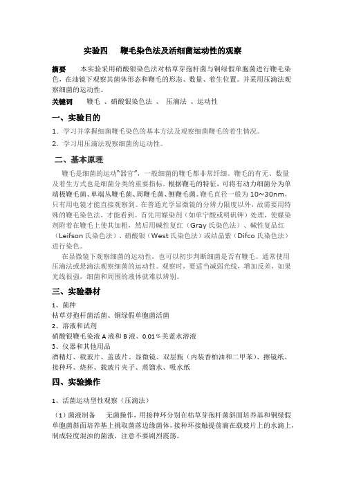 实验四    鞭毛染色法及活细菌运动性的观察