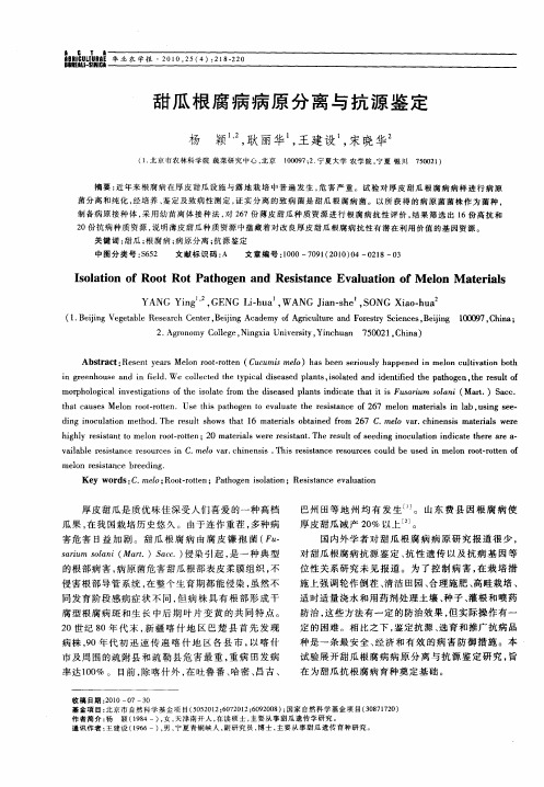 甜瓜根腐病病原分离与抗源鉴定